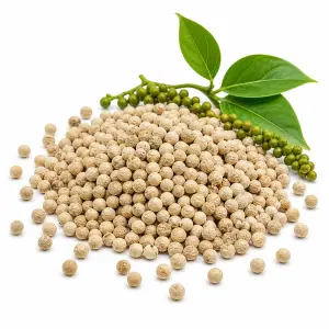 সাদা গোলমরিচ – White Pepper