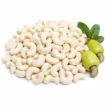কাজুবাদাম | Kaju Badam | Cashew Nut