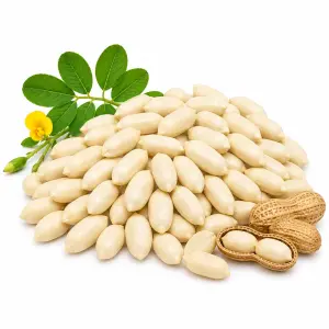 থাই চিনাবাদাম (কাঁচা) – Thai Peanut