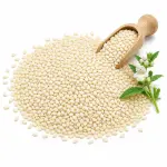 সাদা তিল | Sada Til | White Sesame Seed