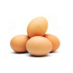 লাল ডিম (৩০পিছ) | Dim | The Egg