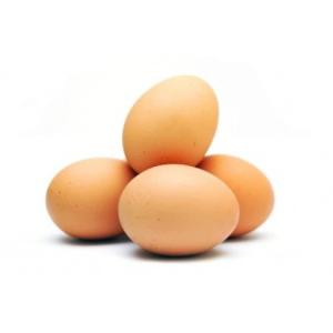 লাল ডিম (৩০পিছ) | Dim | The Egg